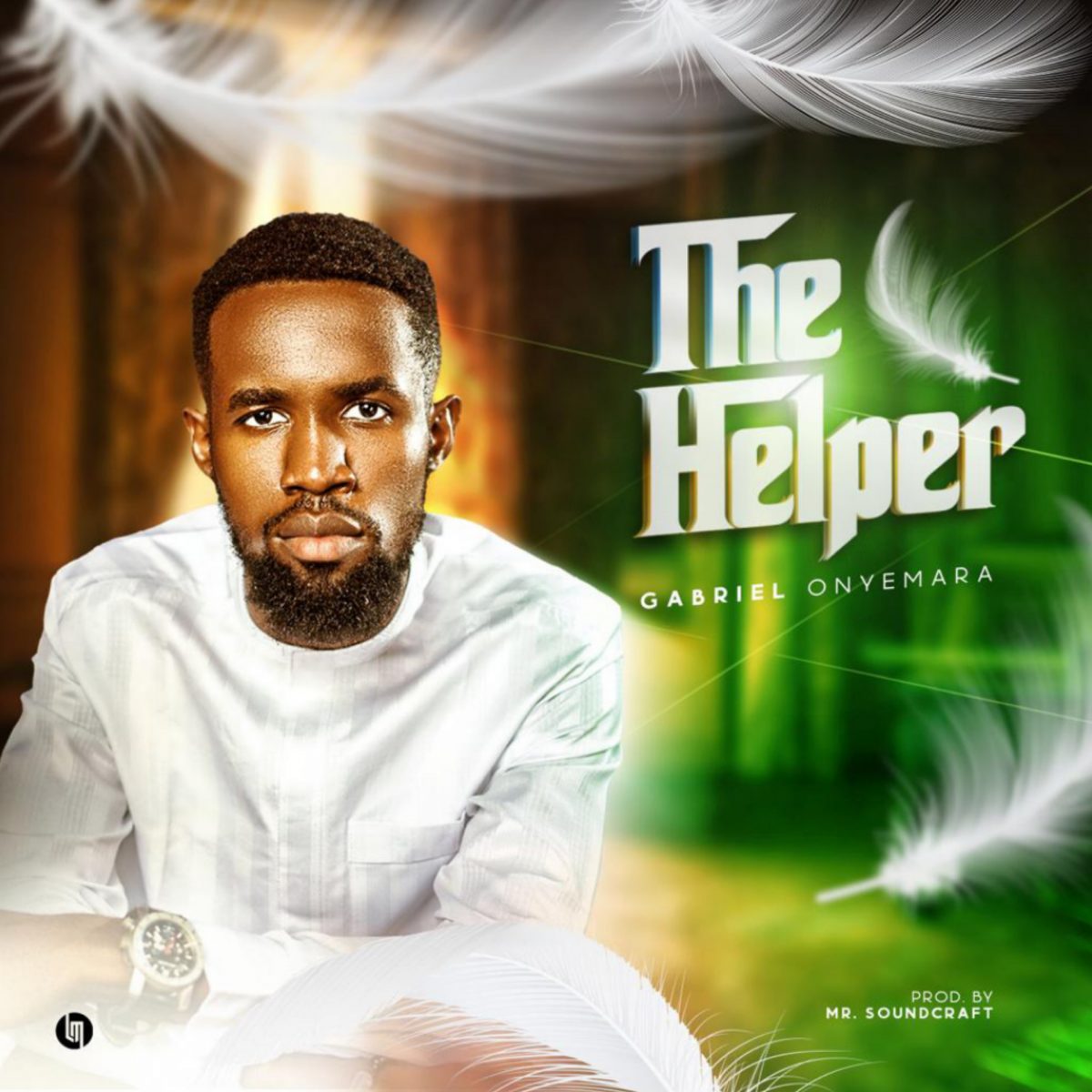 The Helper By Gabriel Onyemara