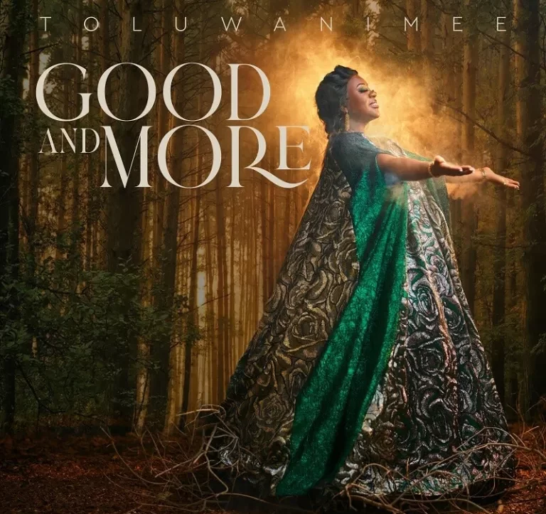 Good and More (Reveals Cover) By Toluwanimee