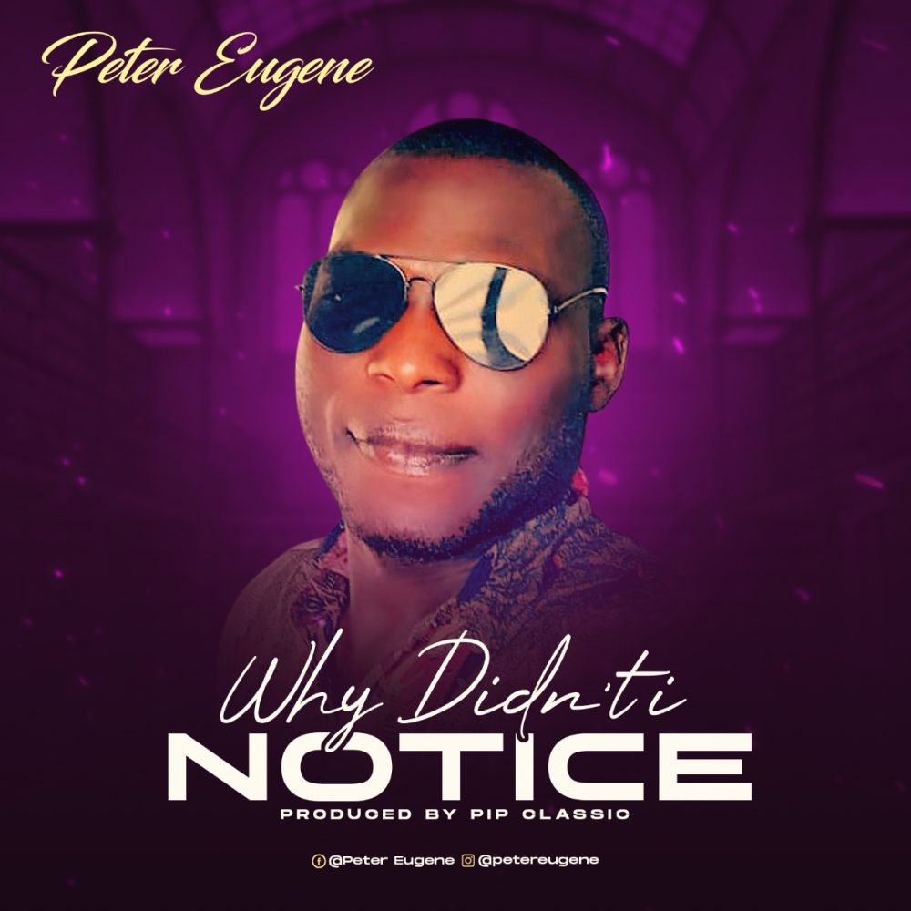 Why I Didn't Notice By Peter Eugene