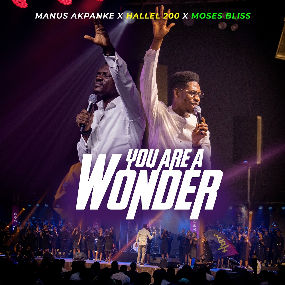 You Are A Wonder By Manus Akpanke
